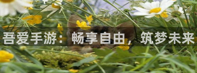 28大神预测群号