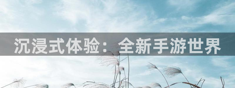 28大神：沉浸式体验：全新手游世界