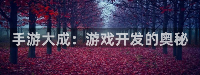 28大神官网预测：手游大成：游戏开发的奥秘