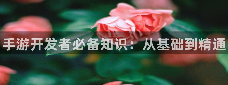 28大神开奖记录：手游开发者必备知识：从基础到精通