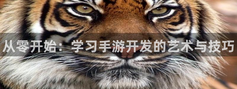 28大神官网苹果：从零开始：学习手游开发的艺术与技巧