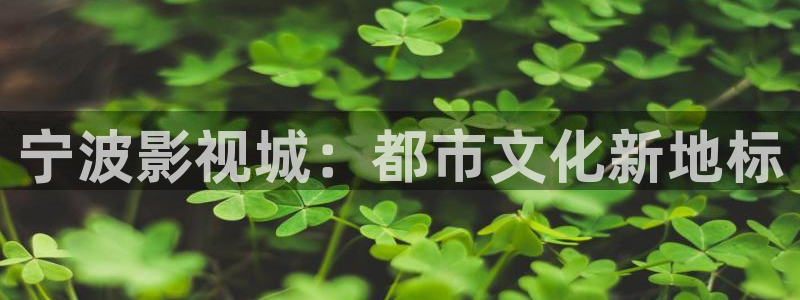 黑狐影院皮特6080