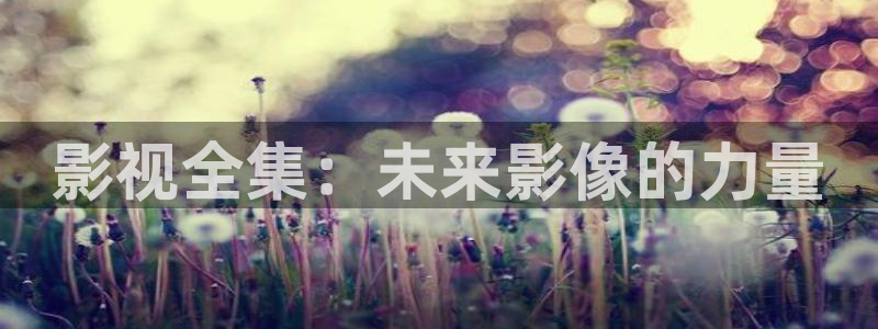 黑狐皮特影院6080：影视全集：未来影像的力量
