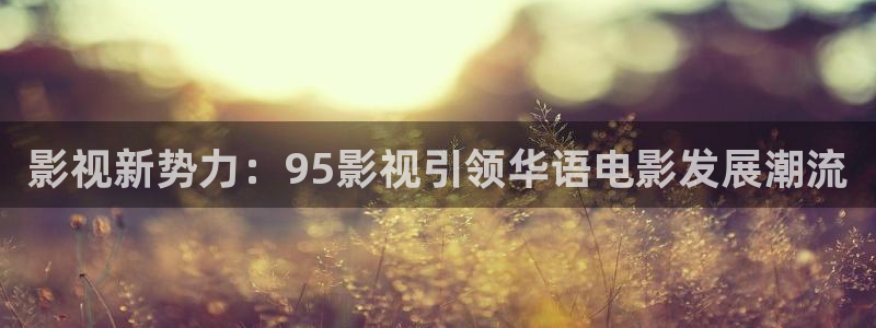 皮特影视影院：影视新势力：95影视引领华语电影发展潮流