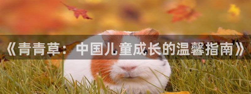 皮特电影高清：《青青草：中国儿童成长的温馨指南》