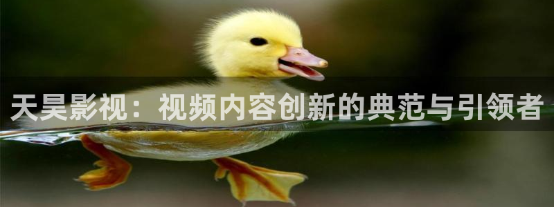 皮特影院大全免费播放：天昊影视：视频内容创新的典范与引领者