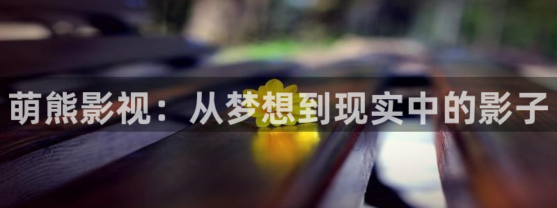 73皮特影院：萌熊影视：从梦想到现实中的影子
