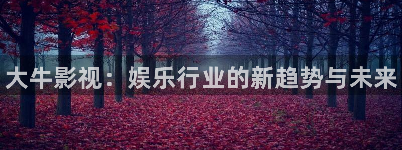 皮特影院手机版