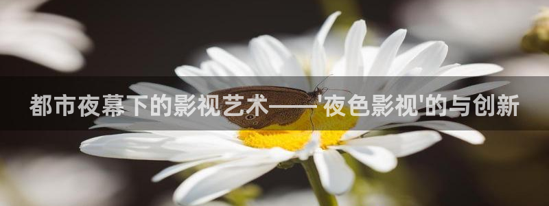 皮特院影