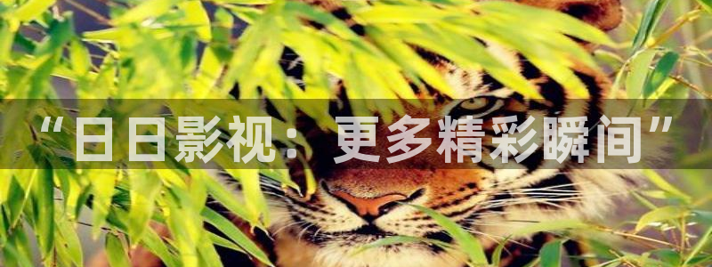 皮特影院在线观看免费
