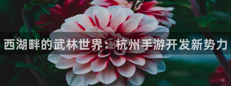 pc28开奖网站大神：西湖畔的武林世界：杭州手游开发新势力