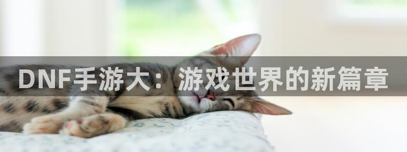 豪门国际开奖网站：DNF手游大：游戏世界的新篇章